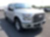 1FTEX1EP1GFD07276-2016-ford-f-150-1