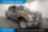 1FTEW1E86GFB79161-2016-ford-f-150-0
