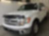 1FTFW1ET8DKF55757-2013-ford-f-150-0