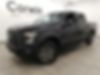 1FTEW1EP2GFD49491-2016-ford-f-150-0