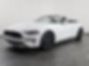 1FATP8UH0K5106516-2019-ford-mustang-1