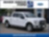 1FTEW1EP1GKF05169-2016-ford-f-150