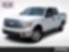 1FTEW1CMXDKD61853-2013-ford-f-150