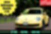 3VWJP7AT6EM615073-2014-volkswagen-beetle-0