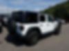 1C4HJXDG3LW110395-2020-jeep-wrangler-2