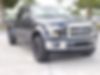 1FTEW1CP3FKE13501-2015-ford-f-150-2