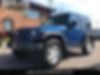 1J4AA2D17AL125460-2010-jeep-wrangler-0