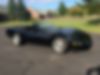 1G1YY32PXS5106901-1995-chevrolet-corvette-1