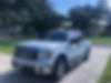 1FTEW1C81AFB60981-2010-ford-f-150-1