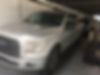1FTEW1EP2HFB75536-2017-ford-f-150-0