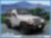 1J4FA49S24P705327-2004-jeep-wrangler-0