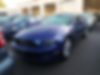 1ZVBP8AM6D5254239-2013-ford-mustang