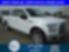 1FTEW1EP6GKF11985-2016-ford-f-150-0