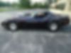 1G1AY8766BS403499-1981-chevrolet-corvette-2