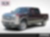 1FTSW2BR6AEA37413-2010-ford-f-250-0
