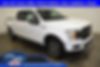 1FTEW1E47KFD12564-2019-ford-f-150-0