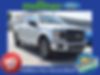 1FTEW1CPXKKE12226-2019-ford-f-150-0