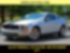 1ZVHT80N995110031-2009-ford-mustang-0