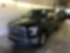 1FTEW1EPXGFB74066-2016-ford-f-150-0