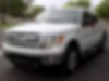 1FTFW1ET9DFB86075-2013-ford-f-150-2