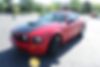 1ZVHT82H175250367-2007-ford-mustang-2