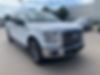 1FTEW1C85GFA18772-2016-ford-f-150-0