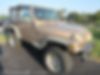 1J4FA49S1YP784317-2000-jeep-wrangler-1