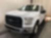 1FTEX1EP9FKD21240-2015-ford-f-150-0