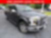 1FTEW1EP3GFA53153-2016-ford-f150
