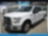 1FTEW1CP8FKE83026-2015-ford-f-150-0