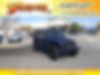 1J4BA3H16AL127043-2010-jeep-wrangler-0