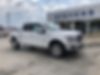 1FTEW1E4XKFD00599-2019-ford-f-150-2