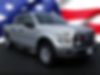 1FTEW1EP0FFB28096-2015-ford-f-150