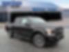 1FTEW1EP0KFD43035-2019-ford-f-150-0