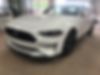 1FATP8UH2J5110999-2018-ford-mustang-2
