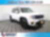 ZACNJABB9KPJ74313-2019-jeep-renegade-0