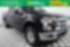 1FTEW1E82FFB35124-2015-ford-f-series-0