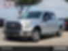 1FTEW1C81GFB12146-2016-ford-f-150-0