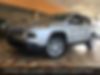 1C4PJLCBXHW607655-2017-jeep-cherokee-0