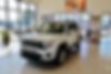 ZACNJBBB8KPK30506-2019-jeep-renegade-0