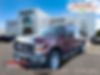 1FTSW2BRXAEA84217-2010-ford-f-250-0