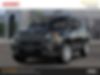 ZACNJBBB2KPK15600-2019-jeep-renegade-1