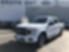 1FTEW1CP7KKF03258-2019-ford-f-150