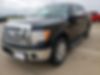 1FTFW1ET9BKE16900-2011-ford-f-150-1