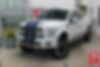 1FTEW1EF7GFC01649-2016-ford-f-150-0