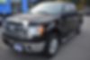 1FTFW1ET2DKG46619-2013-ford-f150
