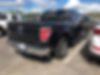 1FTEW1CM6DKD03903-2013-ford-f-150-2