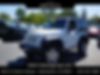 1J4AA2D1XAL185247-2010-jeep-wrangler-0