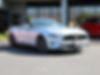 1FATP8UH0J5145282-2018-ford-mustang-0
