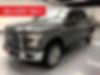 1FTEW1EF8GFB83839-2016-ford-f-150-0